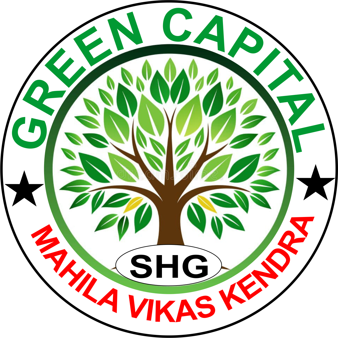 Green Capital Logo